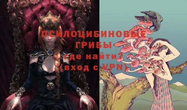 МДПВ Арсеньев