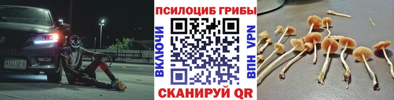 MEGA сайт  Оса  Галлюциногенные грибы GOLDEN TEACHER  магазин  наркотиков 